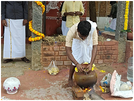 Pongal Celebration 2025