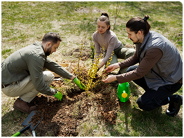 Tree Plantation Drive